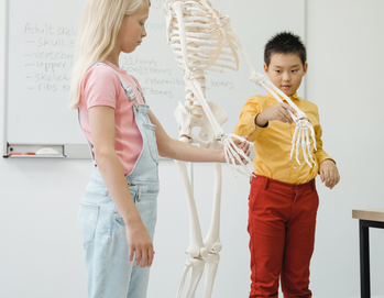 AMERICAN INTERNATIONAL SCHOOL, MACHERLA& KAREMPUDI, A.P